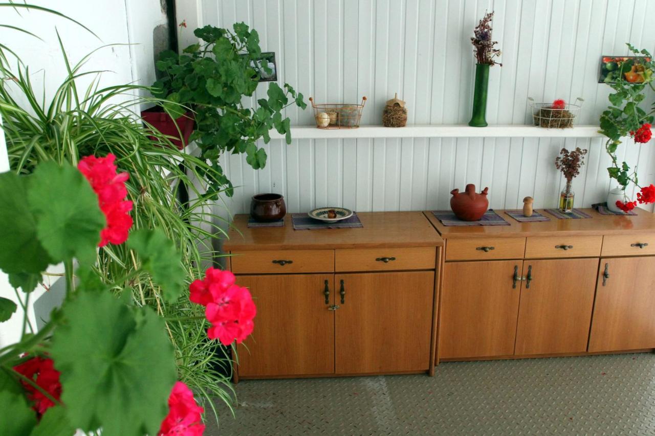 Albergue Ambiental De Beizama - Beizamako Aterpetxea Dış mekan fotoğraf